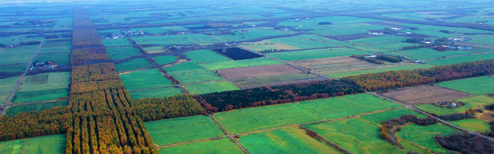 A bird's eye view of a number of square fields in various shades of green. 